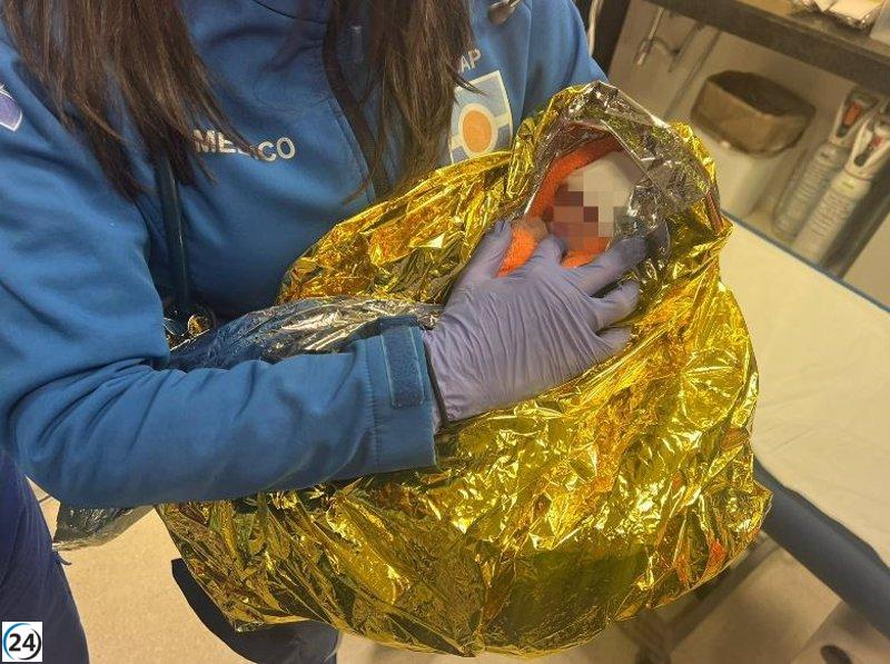 Madre biológica de bebé encontrada viva en contenedor de basura de Los Palacios (Sevilla) ha sido arrestada.