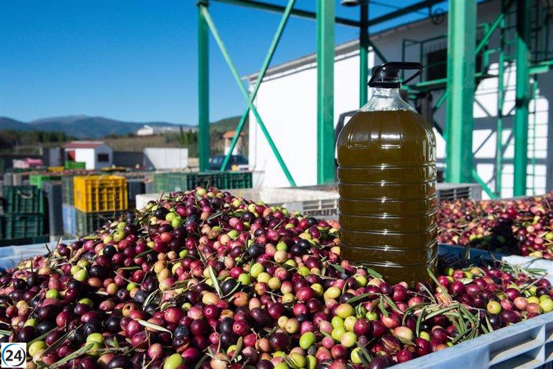 La demanda de aceite de oliva cae un 43% mientras su precio se dispara un 64,5% en noviembre.