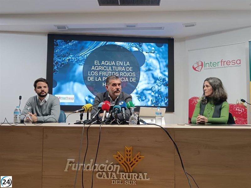 Interfresa revela: El cultivo de frutos rojos en Huelva es sostenible, representando solo el 1,5% del regadío.