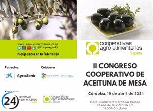 Industrias líderes de Andalucía y Extremadura se reúnen en Córdoba para el II Congreso Cooperativo de Aceituna de Mesa.