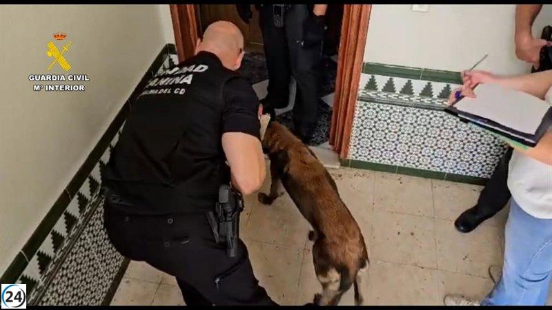 Desmantelada red de tráfico y venta de droga en La Palma (Huelva) con once detenidos