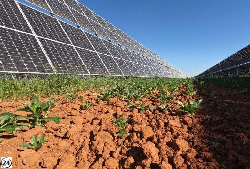 Endesa confirma que más del 60% de su energía en Andalucía proviene de fuentes renovables.