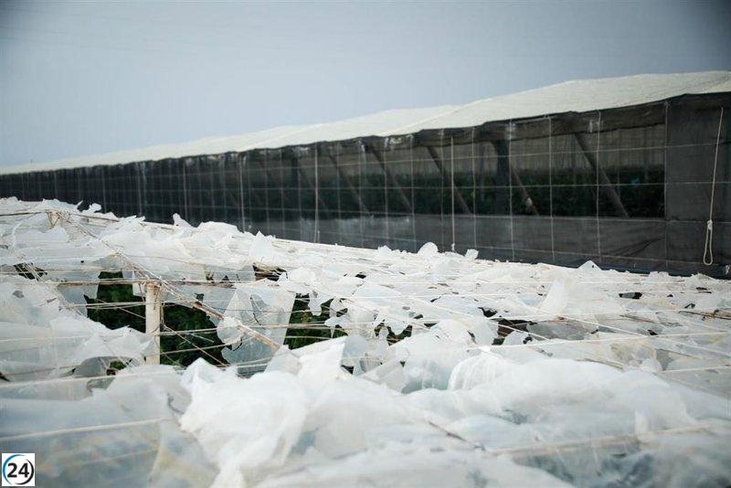 El Gobierno destina 3,48 millones de euros a 175 agricultores y ganaderos andaluces por la DANA.