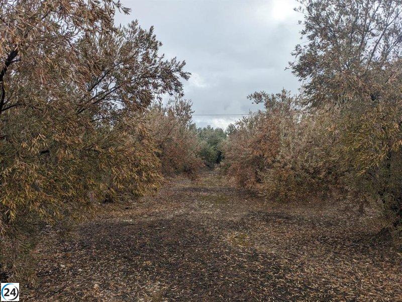 Productores granadinos del norte protestan por drásticas limitaciones al riego impuestas por la CHG.