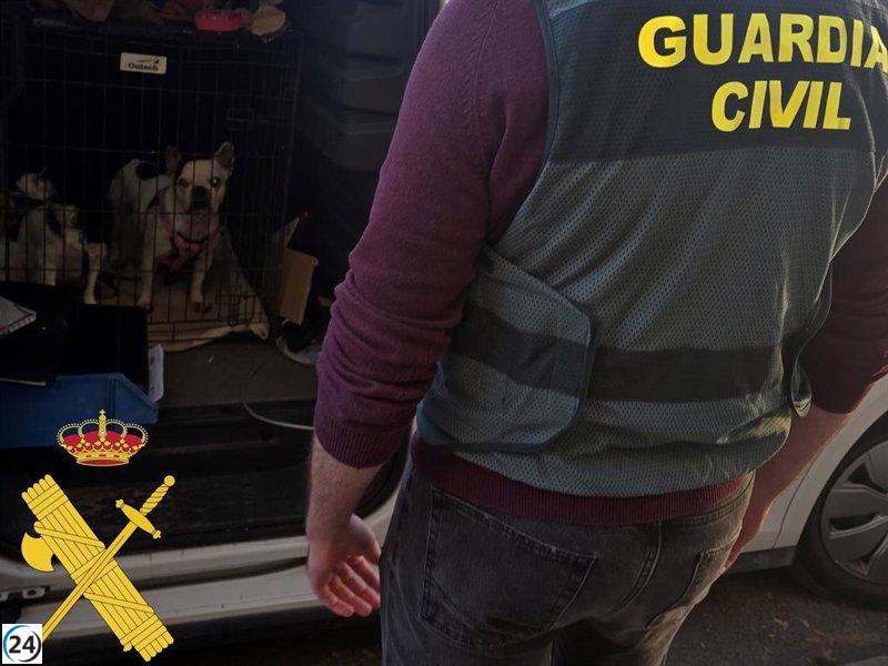 Desmantelan en Roquetas una falsa protectora de animales: dos arrestos y seis personas bajo investigación.