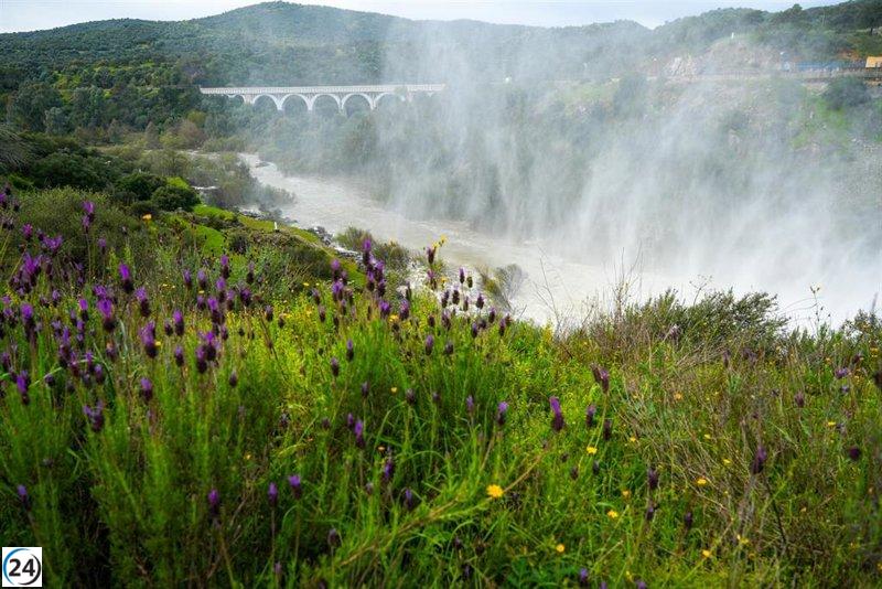 Embalses de Andalucía alcanzan casi el 50% de su capacidad, superando la media de la última década.