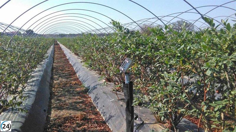 Los comités de sequía en Andalucía se reúnen para planificar un aumento en el suministro de agua.