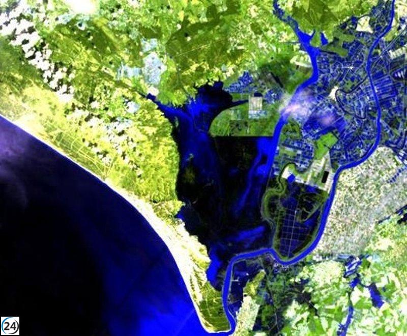 La marisma de Doñana está casi completamente inundada y regresan algunos anfibios.