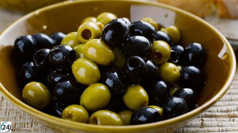 Asemesa advierte sobre el riesgo de perder exportaciones de aceituna negra a EE. UU. por aumento del arancel al 51%.