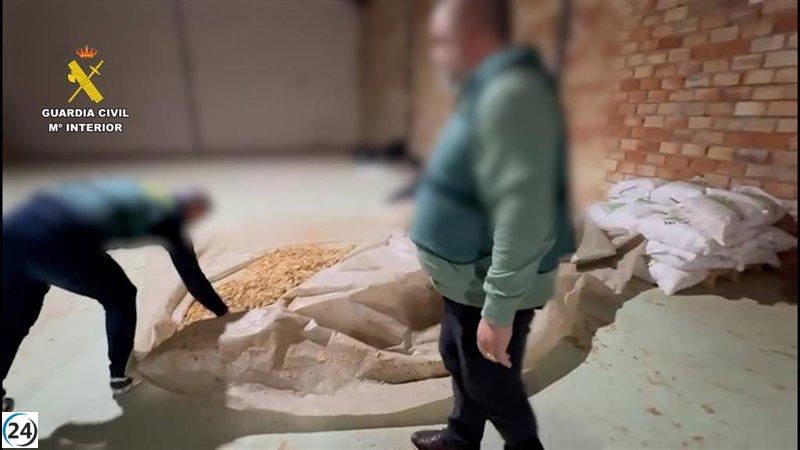 Desmantelan en Lucena una fábrica clandestina de tabaco: tres arrestos y 2.600 kilos confiscados.