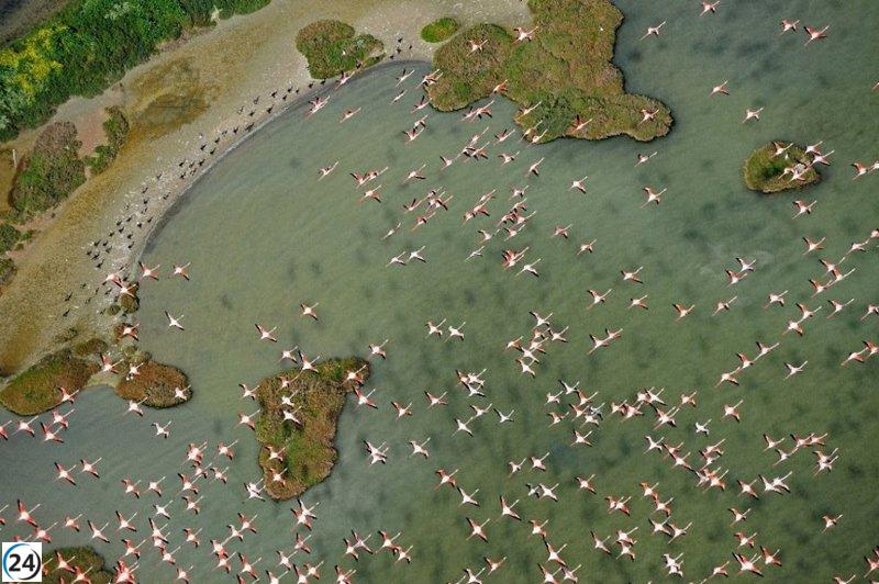 La UNESCO insta a España a proteger el acuífero de Doñana para evitar su inclusión en la lista de Patrimonio en Riesgo.