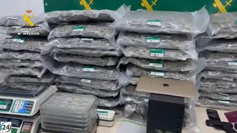 Capturan a tres integrantes de una banda internacional de narcotráfico en el occidente.