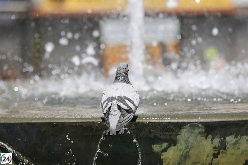 Alerta en Andalucía: se prevén temperaturas de hasta 41ºC este martes.