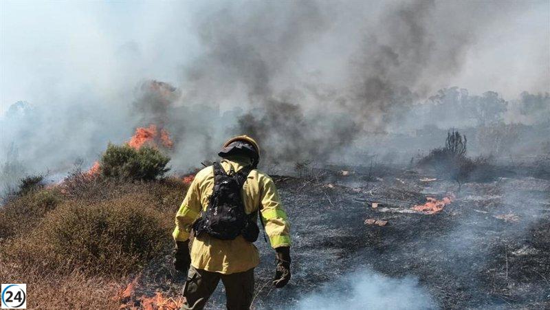Fuerzas aéreas y terrestres combaten incendio forestal en Morón, Sevilla.