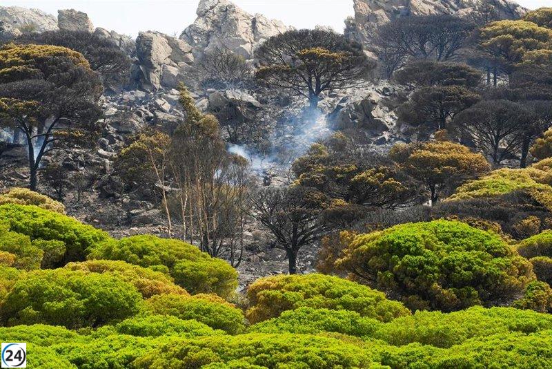 Bomberos luchan en tierra contra el incendio en Tarifa, Cádiz.