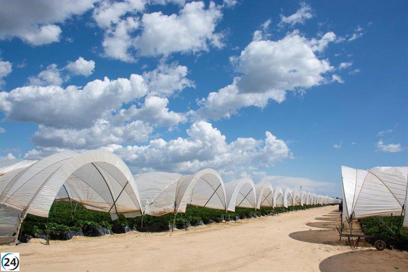 Gobierno establece normas para apoyar a agricultores de Doñana en el BOE.