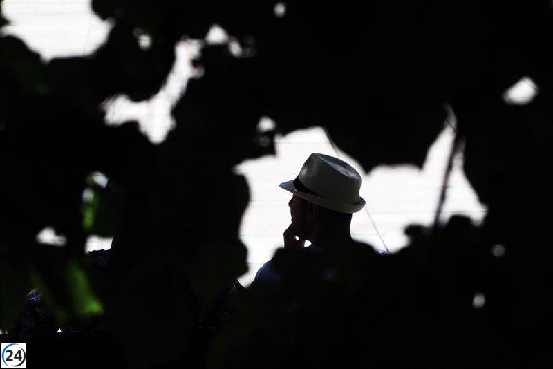 Andalucía registra el máximo histórico de demanda eléctrica del verano en medio de una intensa ola de calor, alcanzando los 7.300 MW.