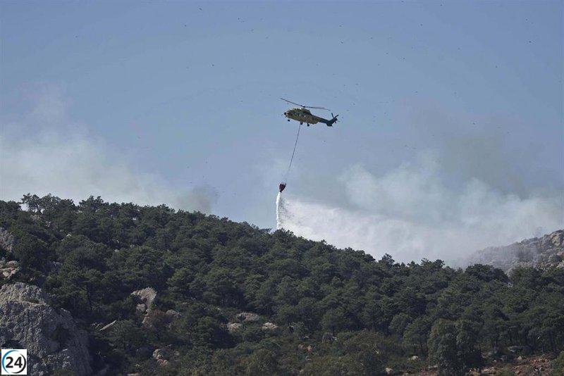 Apagan el incendio en Sierra de la Plata, Tarifa, este sábado.