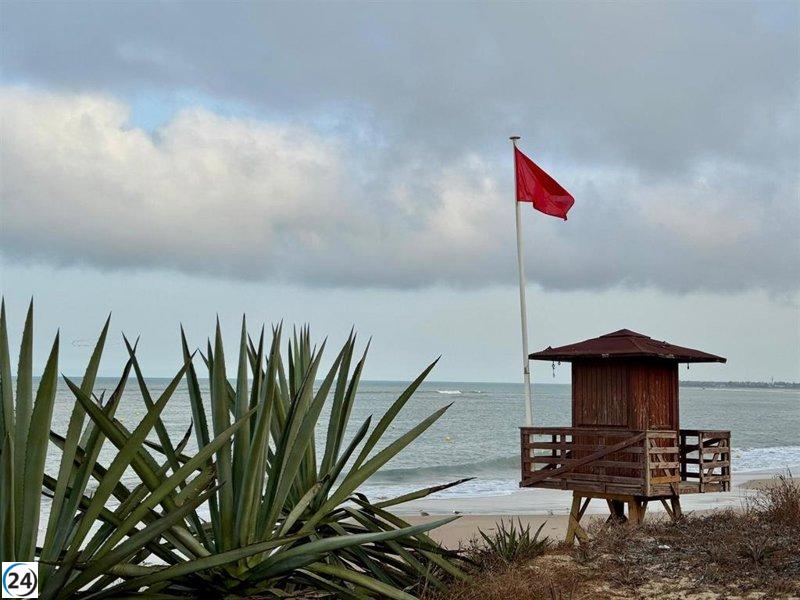 Cádiz y El Puerto alertan sobre peligros en sus playas: bandera roja en Cortadura y Santa María, medusas en Valdelagrana.