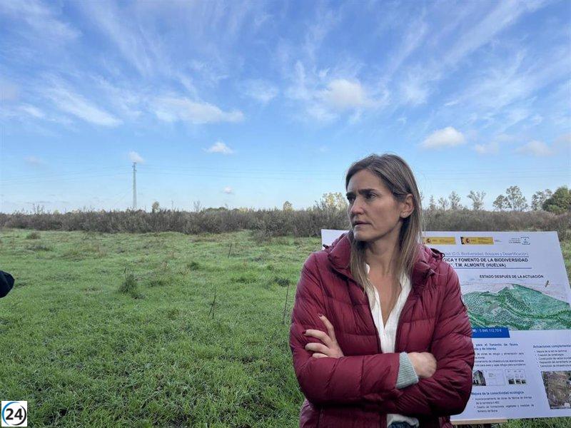 Gobierno asigna 28 millones para subsidios en la restauración de Doñana, regulando apoyo a agricultores.