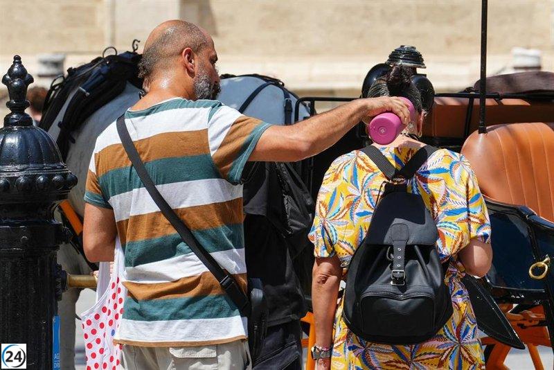 Olas de calor en Andalucía causan 169 muertes en agosto, un aumento de 90 respecto al año anterior.