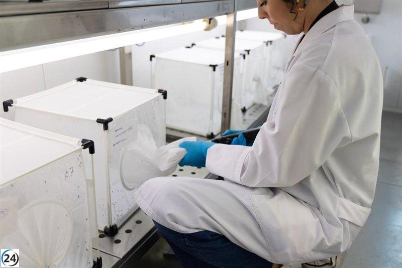 Huelva en alerta por detección de mosquitos portadores del virus del Nilo.