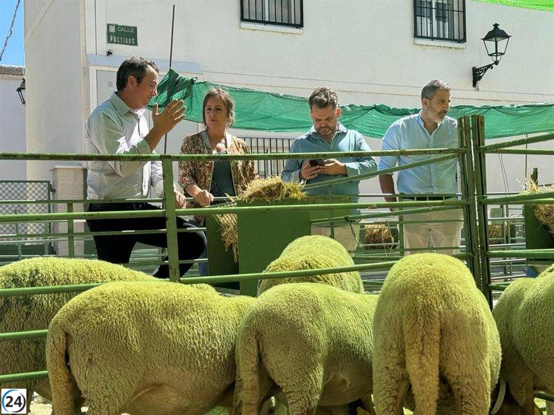 Andalucía reporta nueve casos de gripe aviar: autoridades llaman a la precaución y destacan su trabajo en equipo.