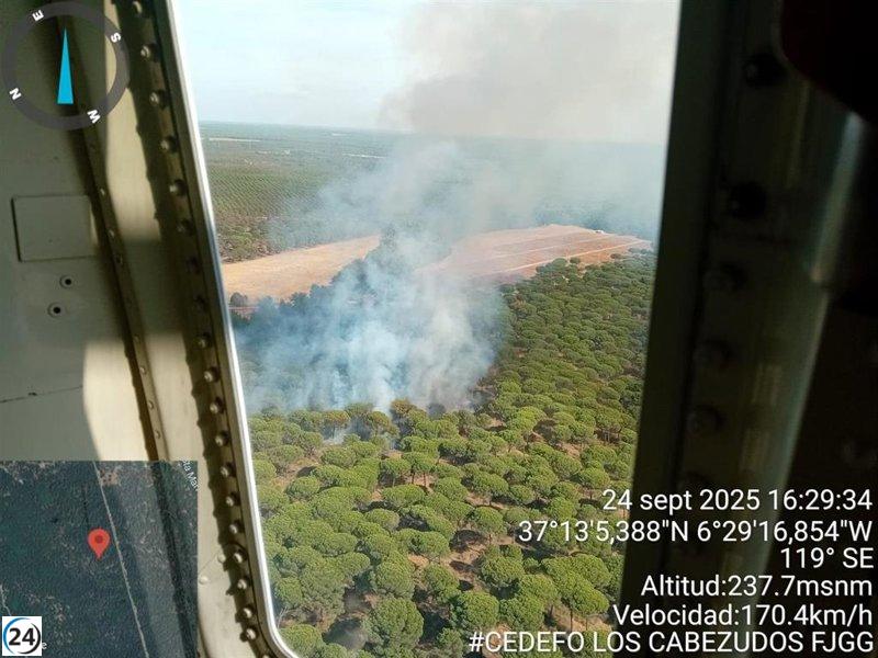 Controlado incendio en Almonte, el segundo en Huelva este miércoles.