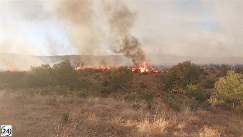 Veinte bomberos luchan contra incendio forestal en El Castillo de las Guardas, Sevilla.