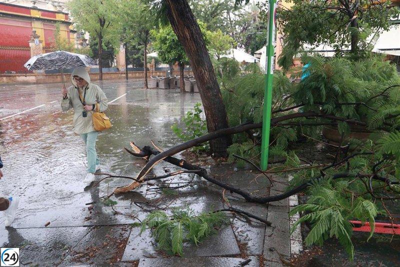 Doce emergencias al 112 en Sevilla por inundaciones y caída de ramas debido a las lluvias.