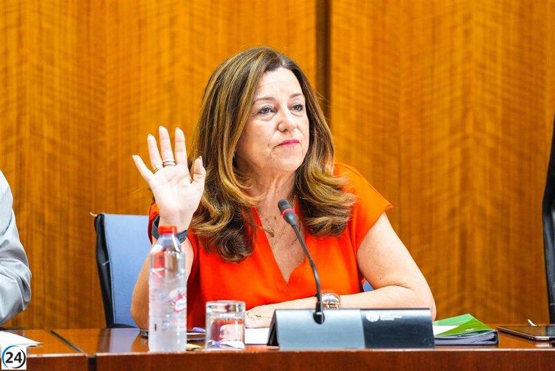 Castillo se presenta ante el Parlamento para detallar su estrategia contra el acoso escolar.