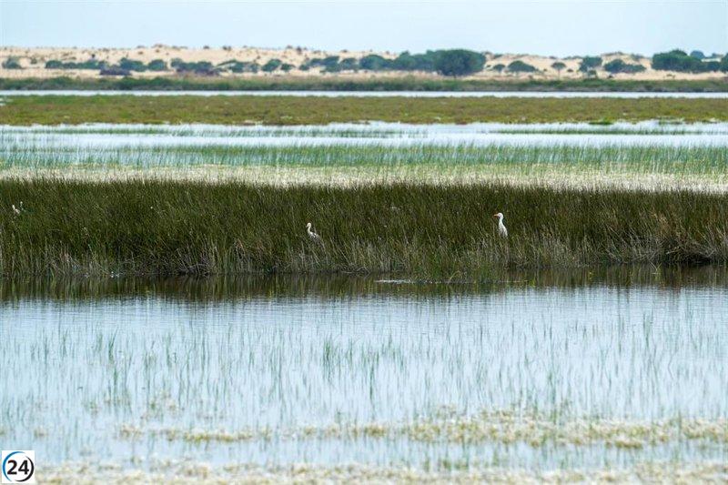 Ayudas de 28,5 millones para la renaturalización ya disponibles para agricultores de Doñana.
