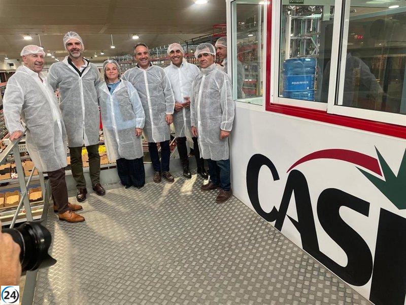 La Junta exige a la UE mayor supervisión en la venta de tomate marroquí.