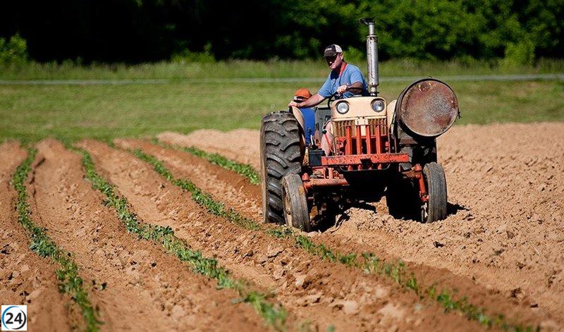 La Eurocámara da luz verde a una PAC más sencilla y apoya a los agricultores familiares.
