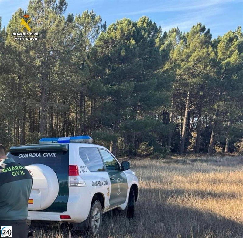 Andalucía registra el mayor índice de feminicidios en 2025.