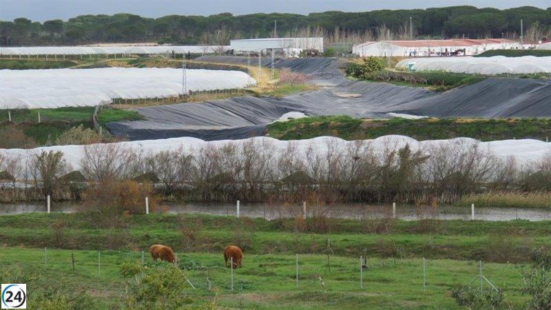 WWF solicita retirada de ley que