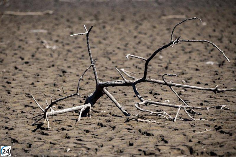 Gobierno evalúa incidencia de la sequía en el campo en la Mesa convocada para el 19 de abril.
