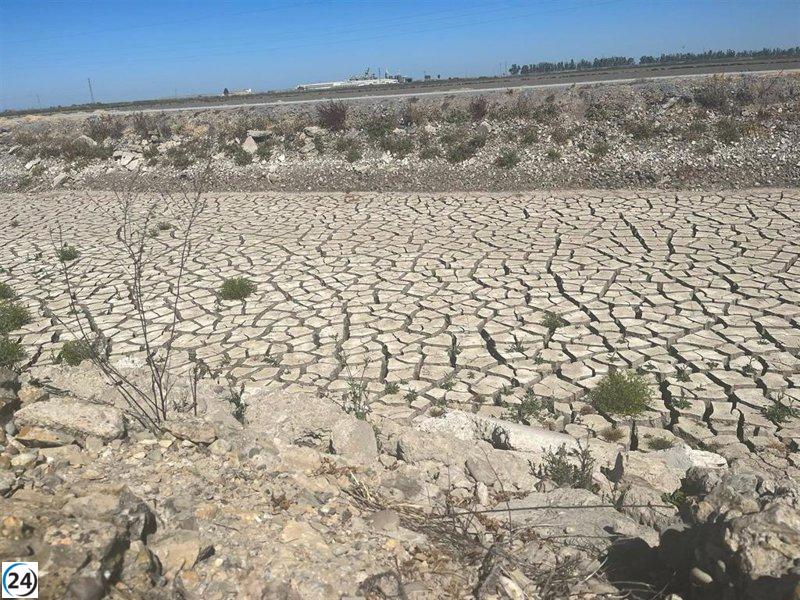 Arroceros de Sevilla exigen modernización ante sequía y siembra inviable en 2023.