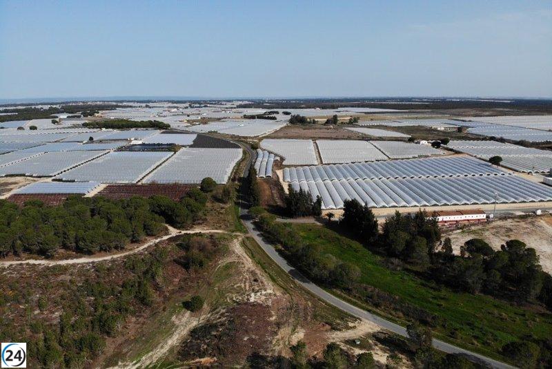 WWF denuncia que Ley PP y Vox legalizaría 1.900 hectáreas en Doñana.