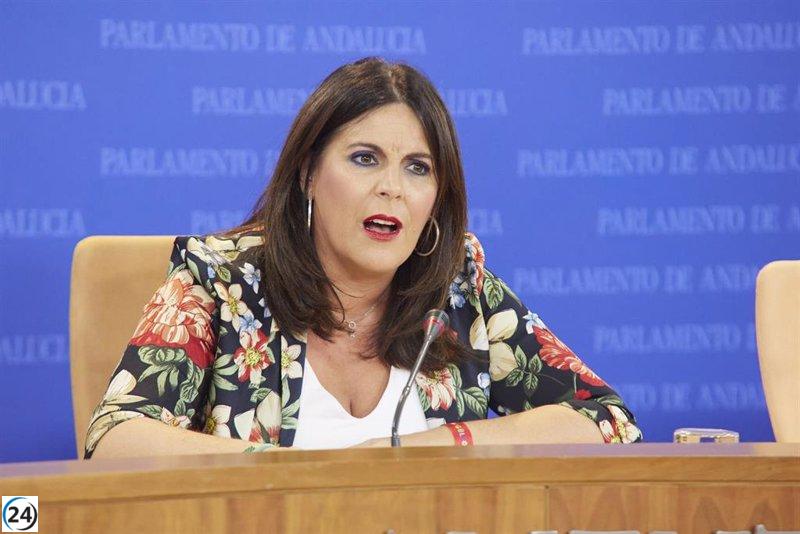 PSOE-A quiere que el Parlamento andaluz rechace pactos que nieguen violencia machista.
