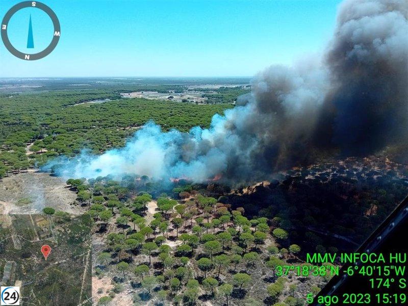 Desalojo de vecinos en Bonares (Huelva) debido a incendio forestal con nivel de alerta 1.