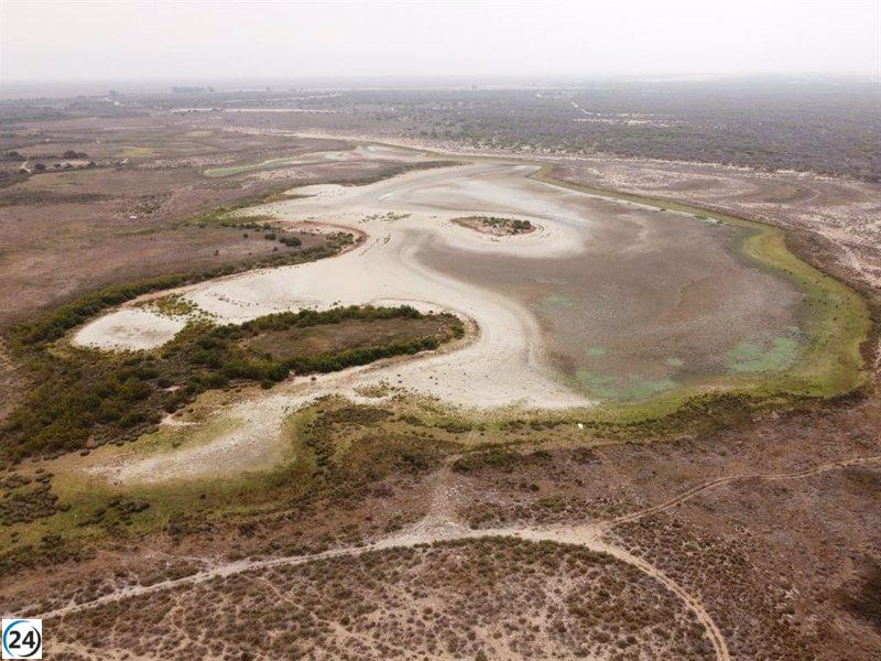 Gobierno veta nuevos regadíos y desliga informe de acuíferos de Doñana de ley de PP y Vox