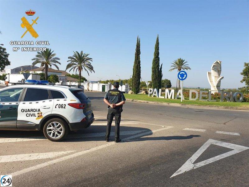 Detenidos vigilantes de seguridad por agredir a un joven en Palma del Río (Córdoba)