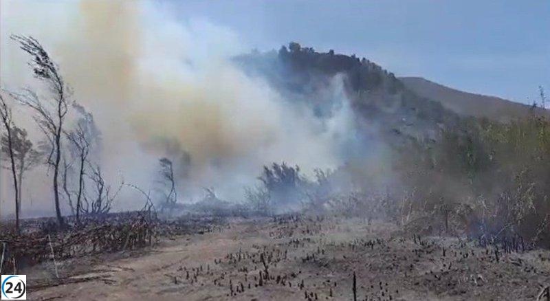 Éxito en la extinción del incendio forestal de Órgiva (Granada)