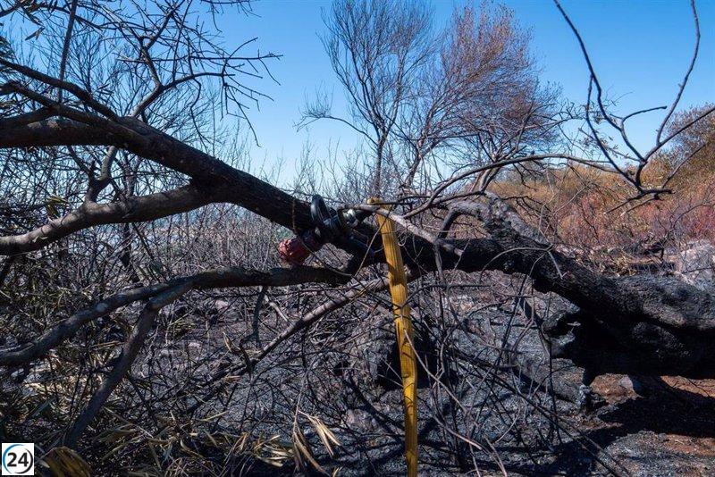 Andalucía impulsa Ley de incendios forestales enfocada en modernización tecnológica