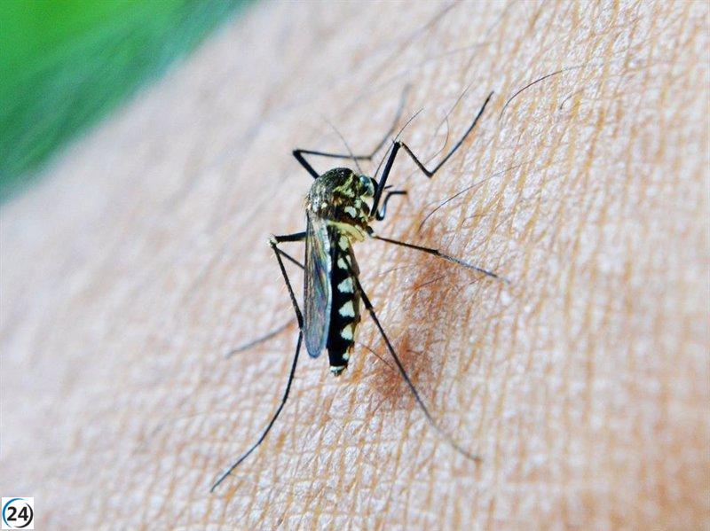 Virus del Nilo presente en mosquitos de varias localidades de Sevilla y Cádiz.