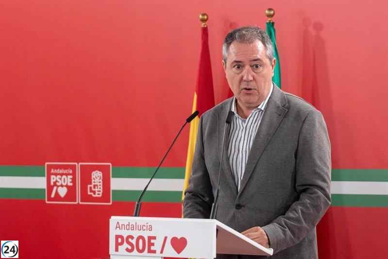 Espadas critica las estrategias de Feijóo para perjudicar al PSOE y obstaculizar la posible investidura de Sánchez.