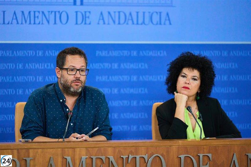 Inmaculada Nieto instada a dimitir por Adelante luego de fallo del TC sobre la expulsión de Teresa Rodríguez