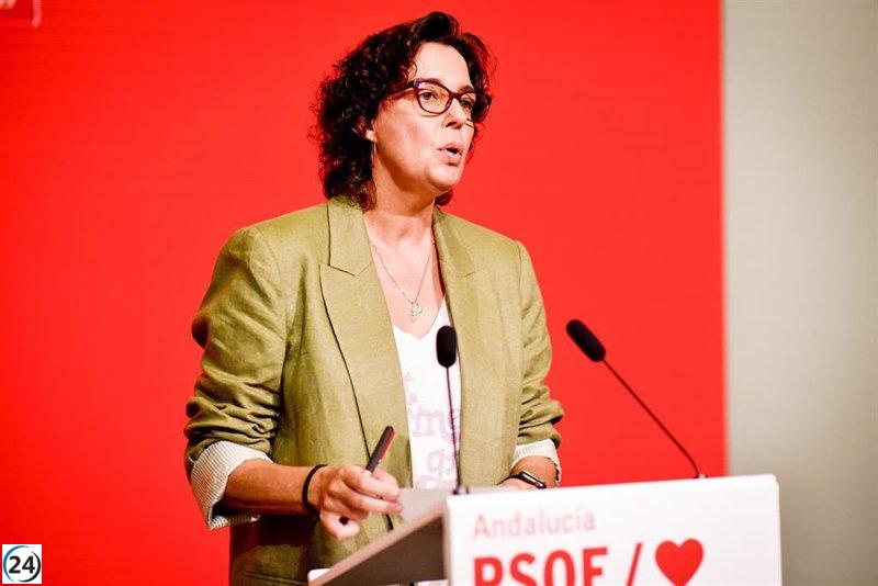 PSOE-A exige al PP revelar detalles sobre la contratación y el costo de 1.500 profesores de apoyo contratados para el próximo curso.