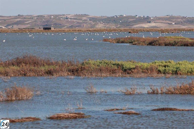 Fiscalía indaga extracciones de agua en entorno de Doñana por posible irresponsabilidad ambiental